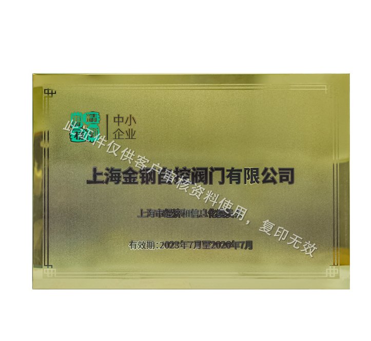 上海市政府颁发专精特新企业.jpg