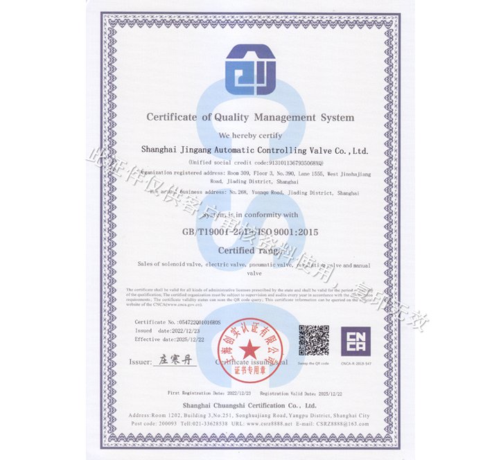 ISO 9001 质量管理体系认证.jpg