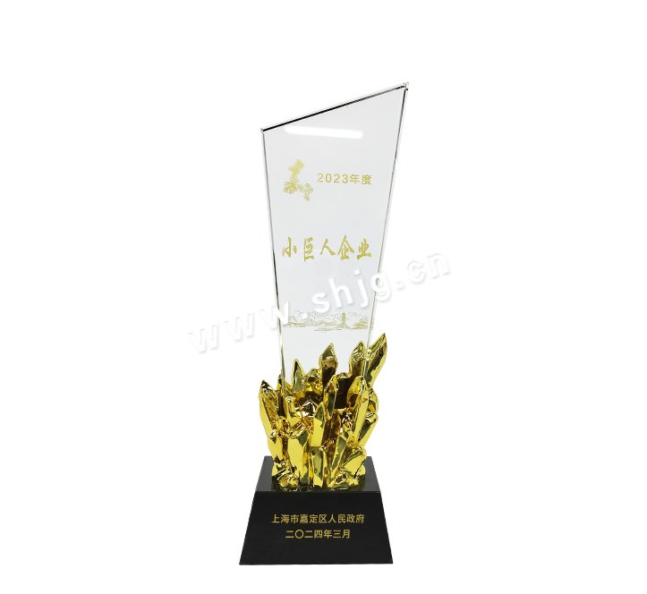 Shanghai Little Giant Enterprise Award